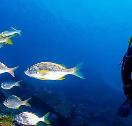 San Francisco 아파트 *